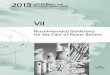 VII - Brown Technical BPVC-VII-2013.pdf · 2014-11-21 · VII RECOMMENDED GUIDELINES FOR THE CARE OF POWER BOILERS ASME Boiler and Pressure Vessel Committee on Power Boilers AN INTERNATIONAL