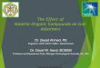 The Effect of Volatile Organic Compounds on GAC Adsorbers Ahmed.pdf · The Effect of Volatile Organic Compounds on GAC Adsorbers ... cis-1,2-dichloroethene data ... Benzene 25 8.0
