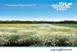 Progress Report 2017 - syngenta.com · 02 Syngenta The Good Growth Plan | Progress Report 2017 Six commitments towards more sustainable agriculture The Good Growth Plan is central