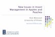 New Issues in Insect Management in Apples and Peaches · New Issues in Insect Management in Apples and Peaches ... Pears Apples Tomato ... use only vinegar with a drop of unscented