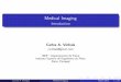 Medical Imaging - Introductioncvinhais.noip.me/materials/phys/phys_MedicalImaging_EN.pdf · Medical Imaging Introduction Carlos A. Vinhais cvinhais@gmail.com ... Radiography Computed