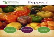 Peppers - Cultivate Michigan · dling hot peppers, such as chili peppers. Capsaicin, one of the chemicals that make peppers hot, ... Red Peppers 2 or 5 pounds Diced 3/8” When in