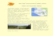 City of Krasnodar (Krasnodar Region, Kuban) - vgik.info  · Web viewKuban in a strict sense is the name that geographers give to the area embraced by this river which ... ancient