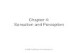 Chapter 4: Sensation and Perception psych ppt ch 4...Chapter 4: Sensation and Perception ... eyeball and sent to the brain via the optic nerve ... •Gate-Control Theory of painAuthors: