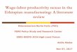 Wage-labor productivity nexus in the Ethiopian … productivity nexus in the Ethiopian manufacturing: A literature review Kidanemariam Berhe Hailu (PhD) FDRE Policy Study and Research