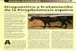Diagnóstico ytratamiento de la Piroplasmosis equina · ^ ^ ^ ; ^ ^ ^a^,.^. ^^, Diagnóstico ytratamiento de la Piroplasmosis equina M.A. HABELA. R.G. SEVILLA. E. CORCHERO. J. PEÑA
