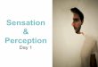 Sensation Perception - GBendergbender.cmswiki.wikispaces.net/file/view/S & P Day 1.pdf/371408580... · • Sense of Touch: ... • Body Sense Kinesthetic . Sensation Information coming