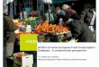 EFSA’s Concise European Food Consumption …€™s Concise European Food Consumption Database: A contaminants perspective F.X. Rolaf van Leeuwen National Institute for …