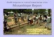 Health response to current humanitarian crisis …apps.who.int/disasters/repo/8294.pdf · Health response to current humanitarian crisis Mozambique Report Harare, 26 - 28 August 2002