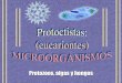 PROTOCTISTAS - iespoetaclaudio.centros.educa.jcyl.esiespoetaclaudio.centros.educa.jcyl.es/sitio/upload/protoctistas__1... · -Poseen células flageladas en sus ciclos vitales. Esporangios