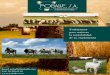  · Vacas de leche 15% Novillasy terneras ... conteniendo además proporciones importantes de nutrientes esenciales ... Los productos de soja son de fácil manejo 