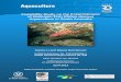 Feasibility Study on the Establishment of Harlequin Fish ... · II Feasibility Study on the Establishment of Harlequin Fish (Othos dentex) Aquaculture in South Australia PIRSA Innovation