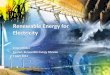 Renewable Energy for Electricity - International Energy … · Renewable Energy for Electricity Simon Müller ... Photoelectric effect ... REE – 2011 Annual Report and Presentations: