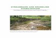 STREAMBANK AND SHORELINE STABILIZATION - … · - Techniques to Control Erosion and Protect Property - ... July 2007 “Streambank and Shoreline Stabilization Guidance”