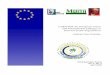 CARICOM, the European Union and International …aei.pitt.edu/8082/1/gonzalesworkingpaper.pdfCARICOM, the European Union and International Linkages in External Trade Negotiations Anthony