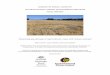 “Assessing pig damage in agricultural crops with remote ... · “Assessing pig damage in agricultural crops with remote sensing ... Research Centre, Biosecurity ... of remote sensing
