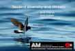 New Zealand storm petrel events/2015 Conference Presentations... · storm petrel Critically endangered (IUCN) 1.A global seabird centre 2.Populations relict, ecosystem services lost