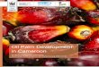 Oil Palm Development in Cameroon - Pandaassets.panda.org/downloads/palmoildevelopmentcameroon_english.pdf · Oil Palm Development in Cameroon ... Smallholder oil palm nursery 
