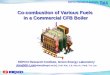 Co Co-combustion of Various Fuels combustion of Various Fuels … Co... · 2017-02-21 · Co-combustion of Various Fuels in a Commercial CFB Boiler Co. ... Coal Consumption and Outlook