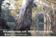 Download the booklet 'The Stations of the Forests'. - … stations of... · 3 STATIONS OF THE FORESTS DVD and Resource Booklet AUSTRALIAN VERSION “All praise be yours, my Lord,