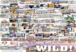 TEN YEARS OF KEEPIN’ IT WILD! - The New Mexico ... YEARS OF KEEPIN’ IT WILD! ... Scial and a slew of volunteers traveled the state searching and documenting our roadless lands