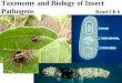 Biology of Insect Pathogens - forestpestbiocontrol.info · Biology of Insect Pathogens 1. Contact with new hosts 2. Host penetration 3. Reproduction in host 4. Escape from old hosts