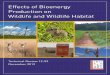Effects of Bioenergy Production on Wildlife and Wildlife ...wildlife.org/wp-content/uploads/2014/05/Effects-of-Bioenergy-on... · Effects of Bioenergy Production on Wildlife and Wildlife