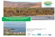 Mediterranean wetlands monitoring situation and needs ...medwet.org/wp-content/uploads/2015/11/MWO_Analysis... · Mediterranean wetlands monitoring situation and needs assessment