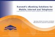 Euronetâ€™s eBanking Solutions for Mobile, Internet and ... Euronetâ€™s eBanking Solutions for