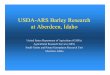 USDA-ARS Barley Research at Aberdeen, Idahoambainc.org/media/AMBA_PDFs/Conferences/2015_BIC/6-2015-BIC.pdf · USDA-ARS Barley Research at Aberdeen, Idaho United States Department