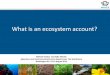 What is an ecosystem account? and ecosystem accounting The starting point for most ecosystem accounts are land cover maps. So •Land cover accounts of Central Framework can provide