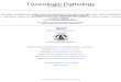Toxicologic Pathology - pdfs.semanticscholar.org of Toxicologic Pathology Additional services and information for Toxicologic Pathology can be found at: 