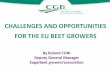Challenges and opportunities for the EU beet growers · Challenges and opportunities for the EU beet growers ... Thailand ?) and preferential ... €/t white ex factory ? ↗ sugar