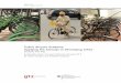 Public Bicycle Schemes: Applying the Concept in … · Public Bicycle Schemes: Applying the Concept in Developing Cities Examples from India ... Sector Project "Transport Policy Advisory