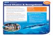 SEA LIFE for Schools Years Food Chains & Ecosystems · Food Chains & Ecosystems SEA LIFE for Schools Contents Introduction 2 Teacher s map 3 Teacher s notes 4-9 ... Aquarium that