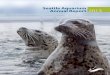 Seattle Aquarium Annual Report 2013public/meetingrecords/2014/parks20140701_2… · 3 SEAT QU 2013 Dear Friend of the Seattle Aquarium, The highlight of 2013 for harbor seals Barney,