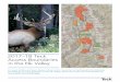 2017–18 Teck Access Boundaries in the Elk Valley Elk Valley Access Maps - All.pdf · 2017–18 Teck Access Boundaries in the Elk Valley ... 1 0 0 2 2 0 02 0 0 0 2 0 0 0 0 0 