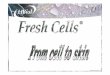 LIBiol Fresh Cells 2002 1/23 - doorirng.com cell.pdf · LIBiol Fresh Cells 2002 1/23 . 9Mild, ... molecules in the skin – hyaluronic acid. ... 05 FRESH CELLS NVX.ppt Author: