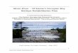 Moon River – Of Eastern Georgian Bay Walleye ... · Moon River Walleye Rehabilitation Plan 3 3.0 Overview: The moniker - “Moon River walleye population” refers to an eastern