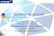 SISTEMA MUSCULAR - UNESP: Câmpus de Marília ... Estruturas especiais que possuem o mesmo comprimento da fibra muscular, possuem estriações transversais. Sarcômero –unidades