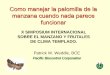 X SIMPOSIUM INTERNACIONAL SOBRE EL MANZANO … - Dr... · SOBRE EL MANZANO Y FRUTALES ... CA 16,000 ac. 84,000 ac ... (10X vs. 1X) •Trap Location •Consistency! Monitor Fruit Damage
