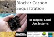 Biochar Carbon Sequestration 2010... · Biochar Carbon Sequestration Christoph Steiner Laurens Rademakers Winfried E. H. Blum In Tropical Land Use Systems