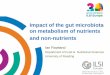 Impact of the Gut Microbiota on Metabolism of Nutrients ...ilsi.eu/wp-content/uploads/sites/3/2016/07/RowlandIUFoST5.pdf · Impact of the gut microbiota on metabolism of nutrients