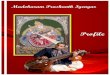 Madokaram Prashanth Iyengar - Brahmavidya · 1 CAPSULIZED PROFILE OF Kanchi Kamakoti Peetam Asthana Vidwan Vidwan M.N.Prashanth Iyengar For Prashanth, music is an inborn intrinsic
