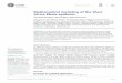 Mathematical modeling of the West Africa Ebola epidemic · Africa Ebola epidemic Jean-Paul Chretien1*, Steven Riley2, ... As the emergency progressed, researchers developed mathematical