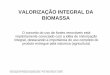 VALORIZAÇÃO INTEGRAL DA BIOMASSA - eq.ufrj.br Res Agroind... · (Chains of glucose sugar) ... Prof. Maria Alice Z. Coelho Aproveitamento do coco verde: Transformando a ameaça dos