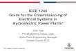 IEEE 1248 Guide for the Commissioning of Electrical ... · Electrical Systems in Hydroelectric Power Plants* John Yale ... • Checkout and verification of electrical control circuitry