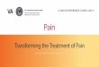 PBM Academic Detailing Service Pain · Pain Transforming the Treatment of Pain A QUICK REFERENCE GUIDE (2017) PBM Academic Detailing Service