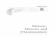 Mitosis, Meiosis and Chromosomes 171L/Lab 08 Mitosis... · Mitosis, Meiosis and Chromosomes Laboratory 8. 2 Laboratory 8: Mitosis and Meiosis ... embryos resulting from fertilization