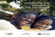 Unleashing the Internet in the Caribbean - unctad.orgunctad.org/meetings/en/Contribution/dtl_eWeek2017c06-isoc_en.pdf · 5 Challenges of Unleashing the Internet ... e-Participation